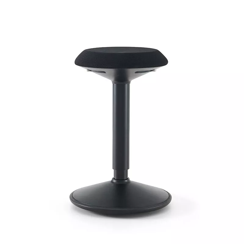 srcset=https://www.aktivmiljo.se/wp-content/uploads/2025/05/xBalanspall_svampen_svart_1.jpg.pagespeed.ic_.Us09zduKd-.webp