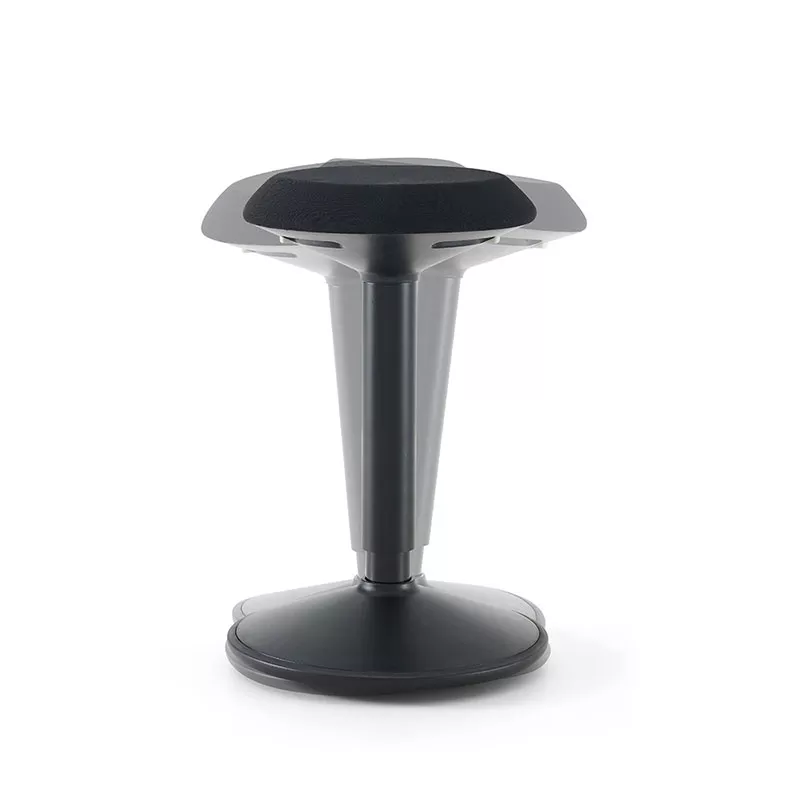srcset=https://www.aktivmiljo.se/wp-content/uploads/2025/05/xBalanspall_svampen_svart_2.jpg.pagespeed.ic_.rllps0mv3D.webp